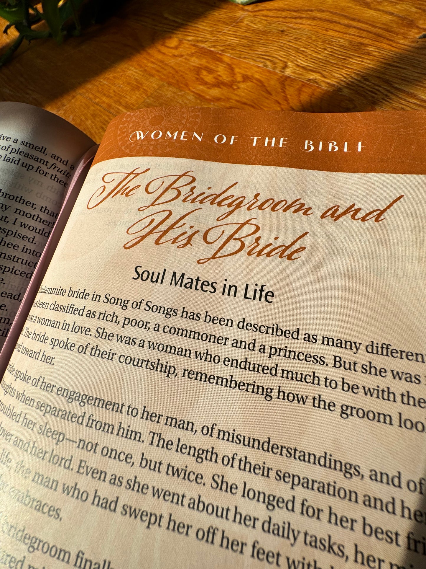 The New Women of Color Study Bible - PINK Luxleather