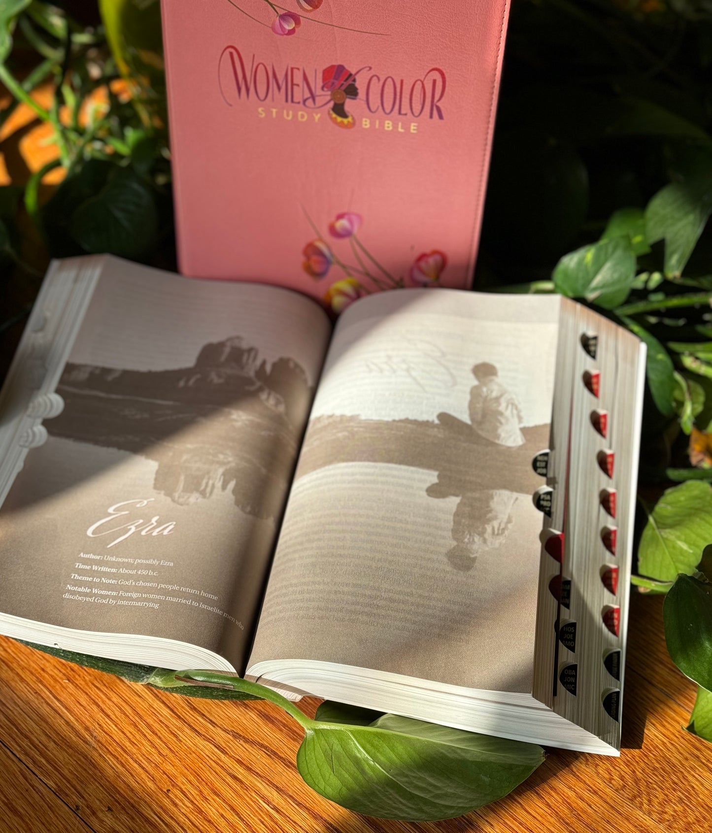 The New Women of Color Study Bible - PINK Luxleather