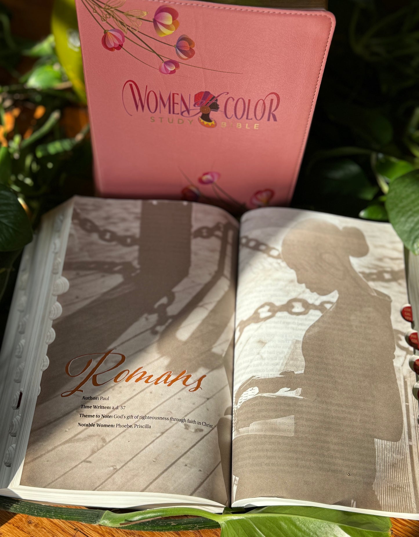 The New Women of Color Study Bible - PINK Luxleather